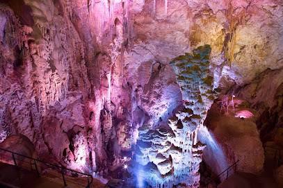 Jaskinia Cova dels Canelobres